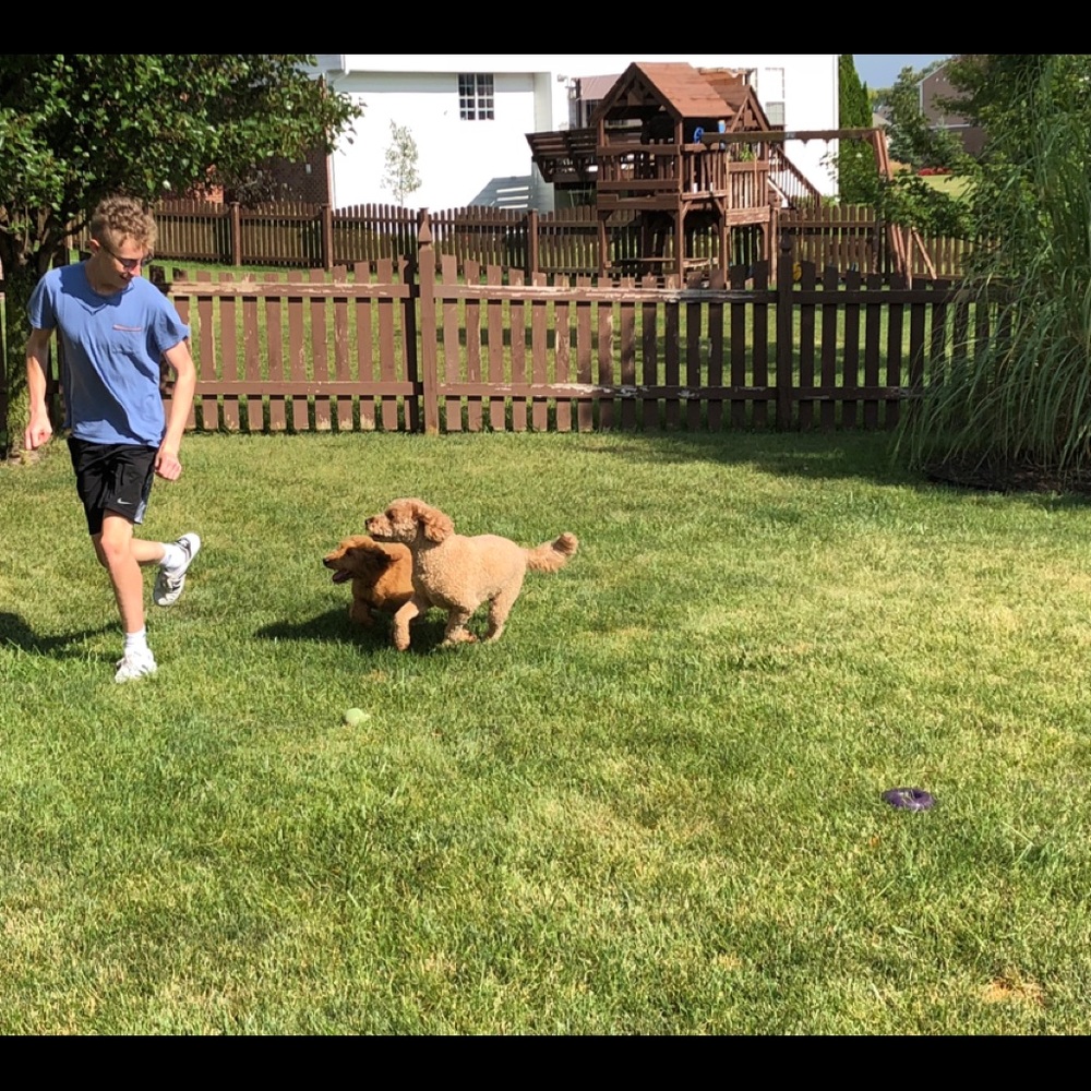 Meet your Posher, Joshua